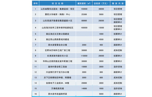 造價(jià)咨詢業(yè)績(jī)